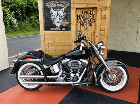 black bear harley|black bear harley for sale.